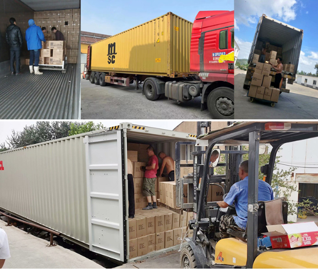 export container loading for wholesale glassware